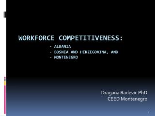 Workforce Competitiveness: - Albania 		- Bosnia and Herzegovina, and 		- Montenegro