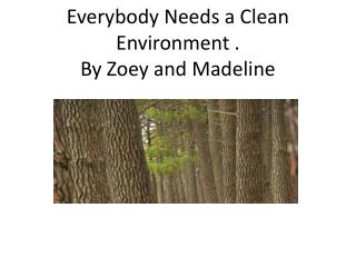 Everybody N eeds a Clean Environment . By Zoey and Madeline