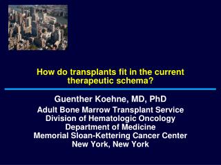 How do transplants fit in the current therapeutic schema?