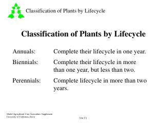 Classification of Plants by Lifecycle