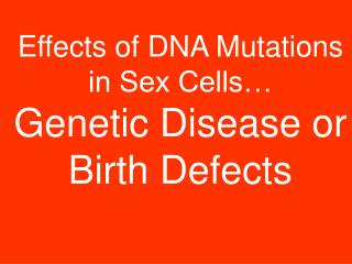 Effects of DNA Mutations in Sex Cells… Genetic Disease or Birth Defects