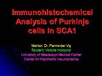 Immunohistochemical Analysis of Purkinje cells In SCA1