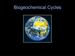 Biogeochemical Cycles