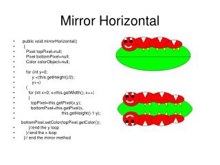 Mirror Horizontal