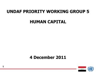UNDAF PRIORITY WORKING GROUP 5 HUMAN CAPITAL