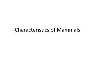 Characteristics of Mammals