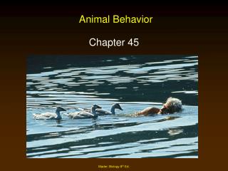 Animal Behavior