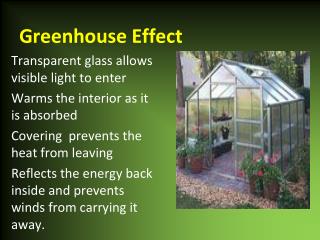 Greenhouse Effect