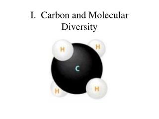 I. Carbon and Molecular Diversity