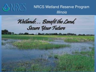 Wetlands… Benefit the Land, Secure Your Future