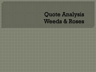 Quote Analysis Weeds &amp; Roses
