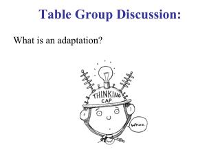 Table Group Discussion:
