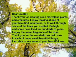 Dear Creator