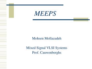 MEEPS