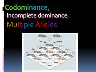 , Incomplete dominance , Mu lti ple Alle les