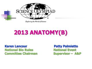 2013 ANATOMY(B)