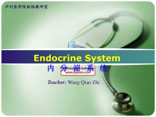 Endocrine System 内 分 泌 系 统