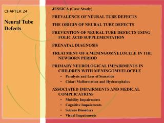 CHAPTER 24 Neural Tube Defects