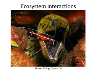 Ecosystem Interactions