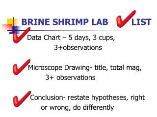 Brine Shrimp Lab List