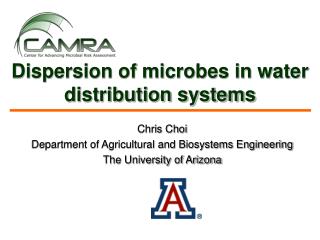 Dispersion of microbes in water distribution systems