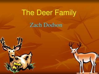 The Deer Family