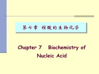 第七章 核酸的生物化学