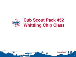 Cub Scout Pack 452 Whittling Chip Class
