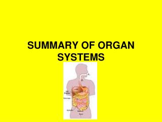 SUMMARY OF ORGAN SYSTEMS