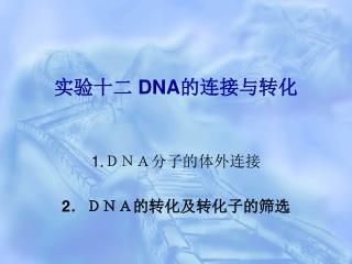 实验十二 DNA 的连接与转化