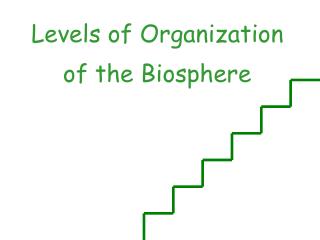 Levels of O rganization of the B iosphere