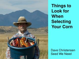 Things to Look for When Selecting Your Corn