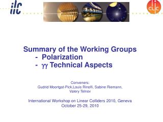 Summary of the Working Groups - Polarization - gg Technical Aspects