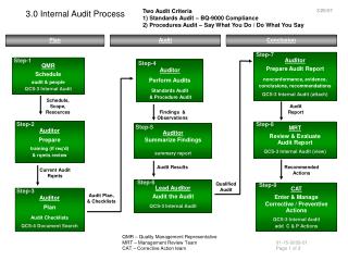 3.0 Internal Audit Process