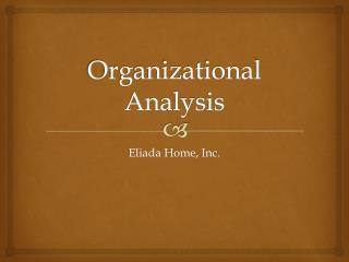 Organizational Analysis