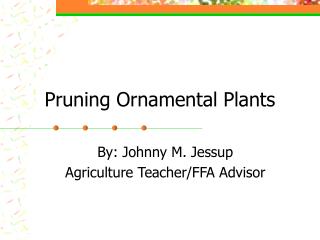 Pruning Ornamental Plants