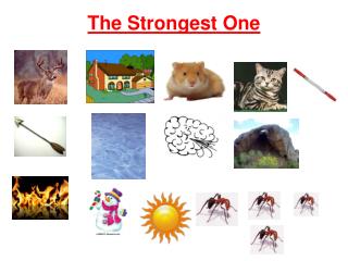 The Strongest One