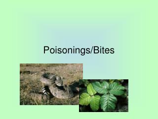 Poisonings/Bites