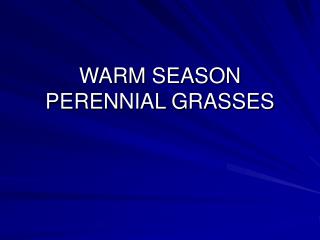 WARM SEASON PERENNIAL GRASSES