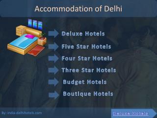 Information of Delhi Hotels