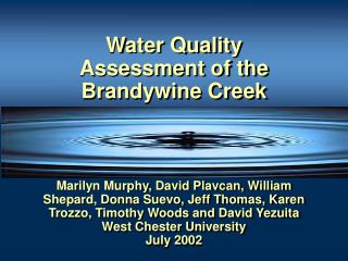 Water Quality Assessment of the Brandywine Creek
