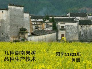 几种湖南果树品种生产技术