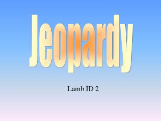 Lamb ID 2