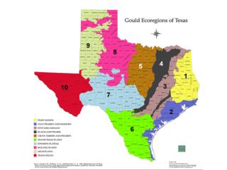 Texas Ecoregion Map