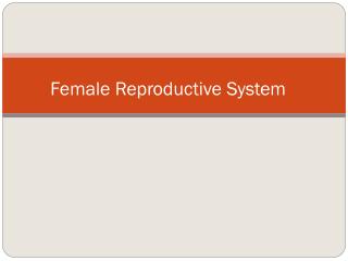 Female Reproductive System