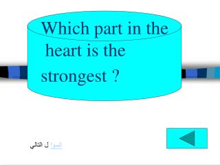 Which part in the heart is the strongest ?
