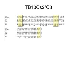 TB10Cs2”C3