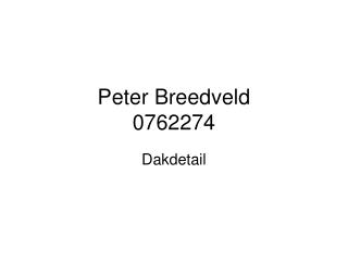 Peter Breedveld 0762274
