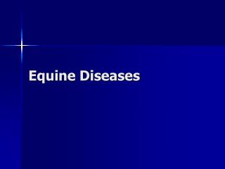 Equine Diseases