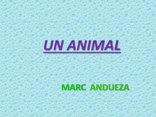 UN ANIMAL